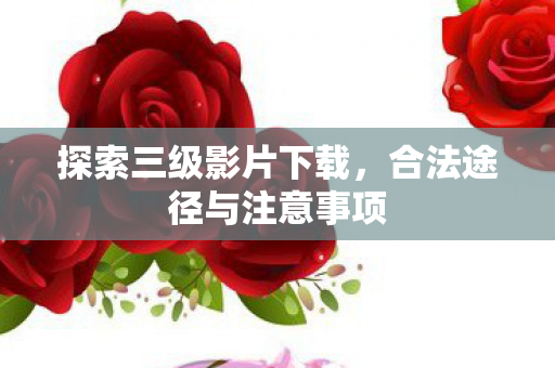 探索三级影片下载，合法途径与注意事项