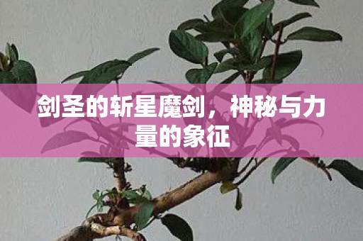 剑圣的斩星魔剑,神秘与力量的象征 剑圣的斩星魔剑,神秘与力量的象征