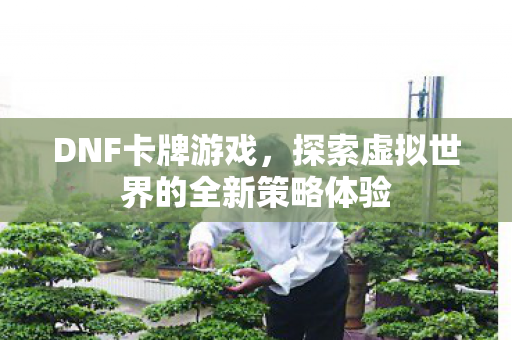 DNF卡牌游戏，探索虚拟世界的全新策略体验