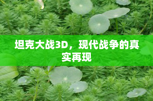 坦克大战3D,现代战争的真实再现 坦克大战3D,现代战争的真实再现