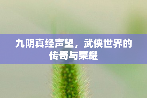 九阴真经声望，武侠世界的传奇与荣耀