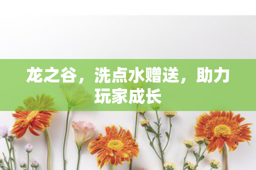 龙之谷，洗点水赠送，助力玩家成长