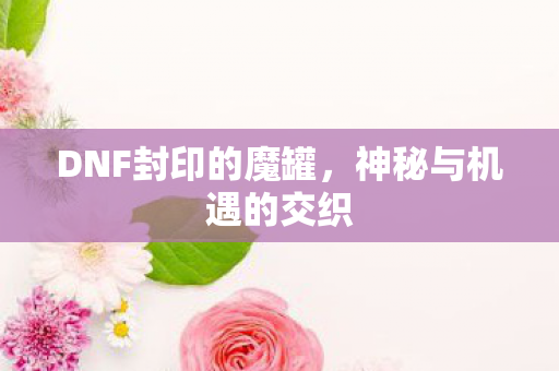 DNF封印的魔罐，神秘与机遇的交织