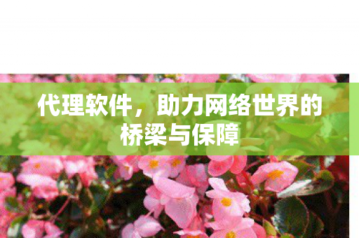 代理软件，助力网络世界的桥梁与保障