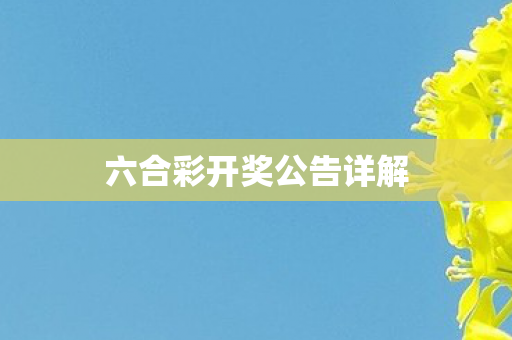 六合彩开奖公告详解