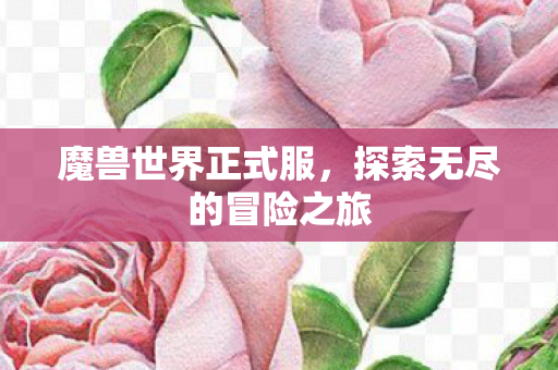 魔兽世界正式服，探索无尽的冒险之旅