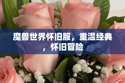 魔兽世界怀旧服，重温经典，怀旧冒险