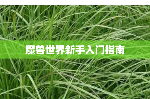 魔兽世界新手入门指南
