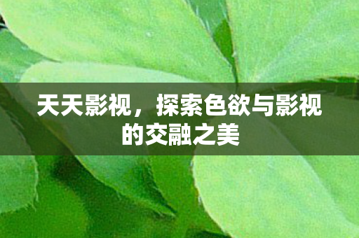 天天影视,探索色欲与影视的交融之美 天天影视,探索色欲与影视的交融之美