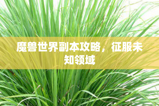 魔兽世界副本攻略，征服未知领域