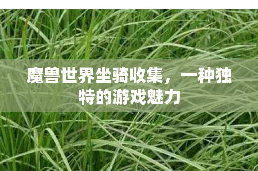 魔兽世界坐骑收集，一种独特的游戏魅力
