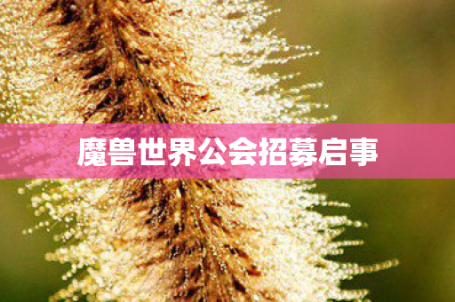 魔兽世界公会招募启事