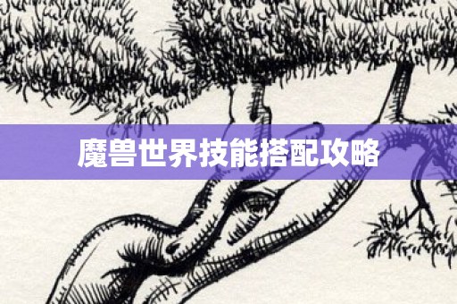 魔兽世界技能搭配攻略