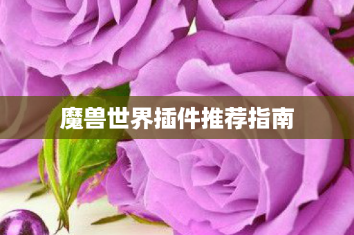 魔兽世界插件推荐指南