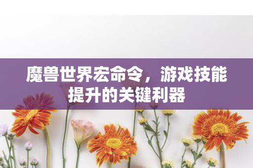 魔兽世界宏命令，游戏技能提升的关键利器