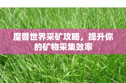 魔兽世界采矿攻略，提升你的矿物采集效率