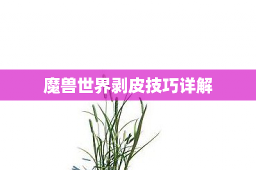 魔兽世界剥皮技巧详解