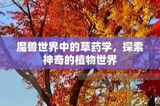 魔兽世界中的草药学，探索神奇的植物世界