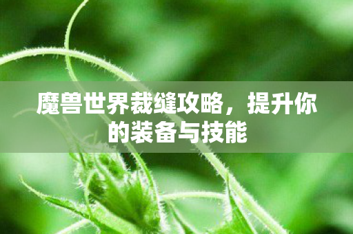魔兽世界裁缝攻略，提升你的装备与技能