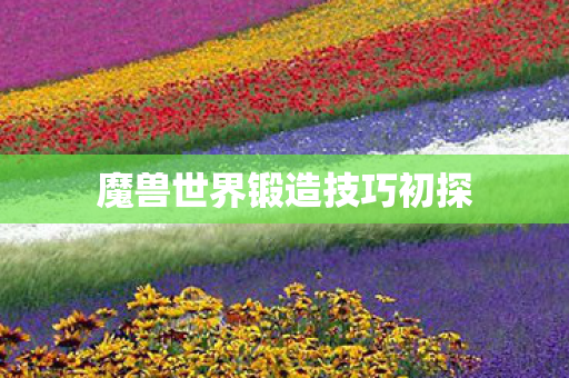 魔兽世界锻造技巧初探