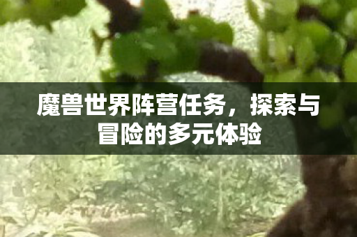 魔兽世界阵营任务，探索与冒险的多元体验