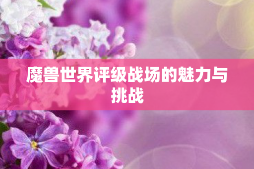 魔兽世界评级战场的魅力与挑战