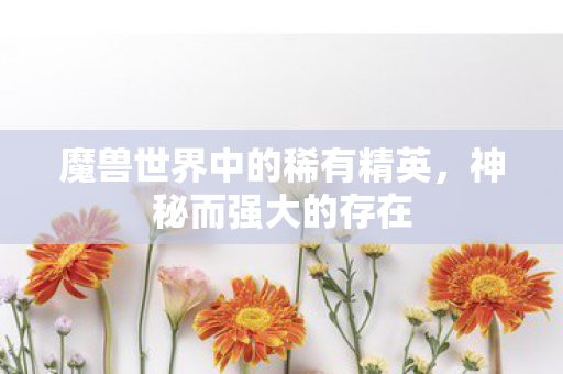 魔兽世界中的稀有精英，神秘而强大的存在