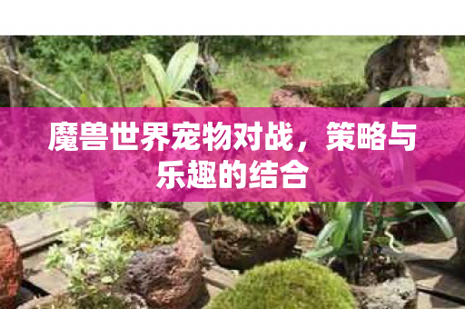 魔兽世界宠物对战，策略与乐趣的结合