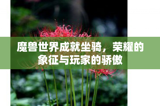 魔兽世界成就坐骑，荣耀的象征与玩家的骄傲