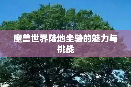 魔兽世界陆地坐骑的魅力与挑战