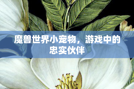 魔兽世界小宠物，游戏中的忠实伙伴