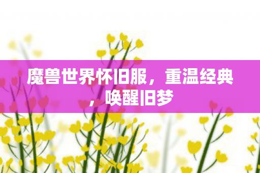 魔兽世界怀旧服，重温经典，唤醒旧梦