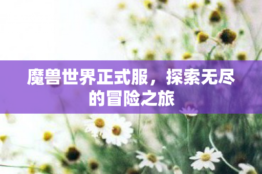 魔兽世界正式服，探索无尽的冒险之旅