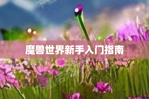 魔兽世界新手入门指南