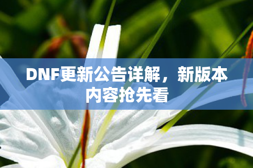 DNF更新公告详解，新版本内容抢先看