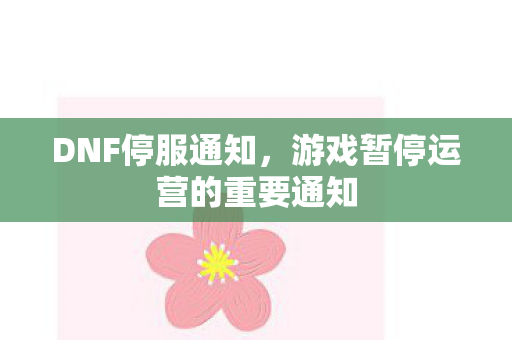DNF停服通知，游戏暂停运营的重要通知