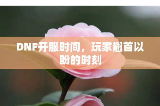 DNF开服时间，玩家翘首以盼的时刻