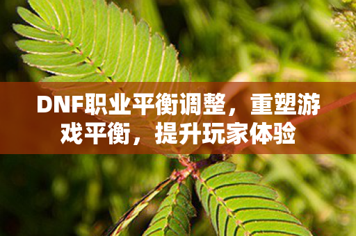 DNF职业平衡调整，重塑游戏平衡，提升玩家体验