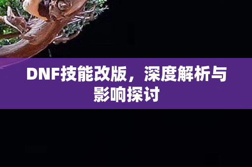DNF技能改版，深度解析与影响探讨