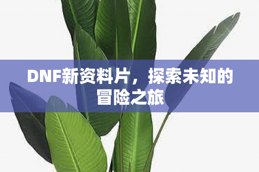 DNF新资料片，探索未知的冒险之旅
