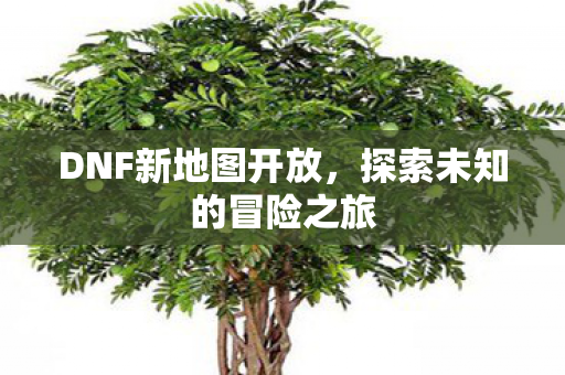 DNF新地图开放，探索未知的冒险之旅