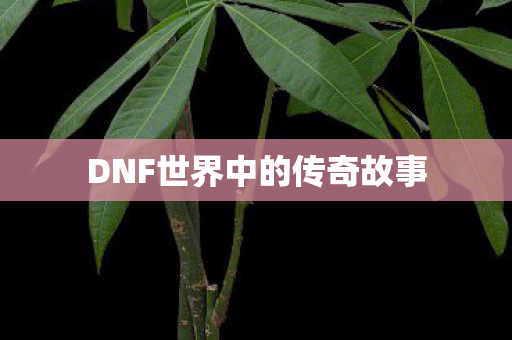 DNF世界中的传奇故事