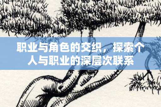 职业与角色的交织，探索个人与职业的深层次联系