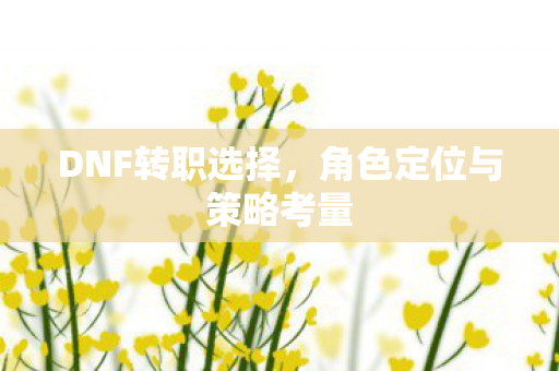 DNF转职选择，角色定位与策略考量