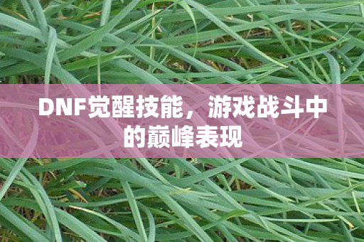 DNF觉醒技能，游戏战斗中的巅峰表现