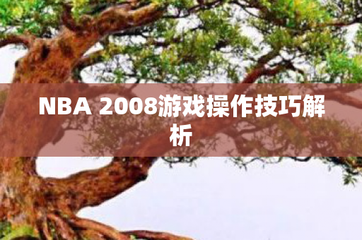 NBA 2008游戏操作技巧解析 NBA 2008游戏操作技巧解析