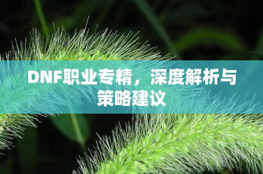 DNF职业专精，深度解析与策略建议