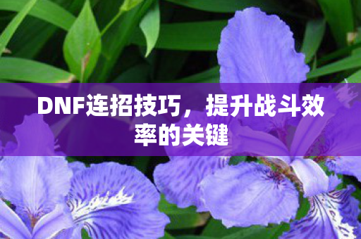 DNF连招技巧，提升战斗效率的关键