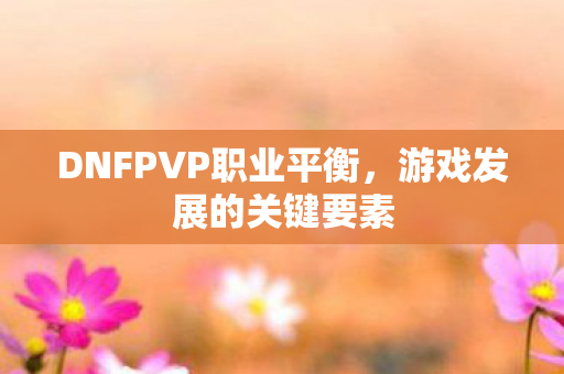 DNFPVP职业平衡，游戏发展的关键要素