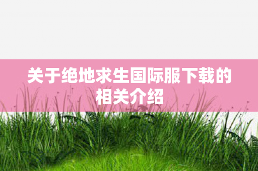 关于绝地求生国际服下载的相关介绍